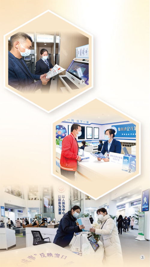 优化审批流程，科技中介服务助力法治与产业发展