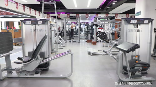 合作共赢 共谋发展 中投国控实业集团深入玖体健身服务公司交流，探索科技中介服务新机遇